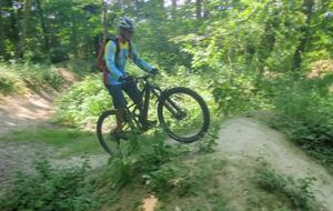 ole VTT
