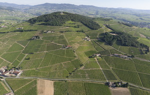 Annulation du Pique-nique au Mt Brouilly